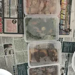 20 days Trial Package