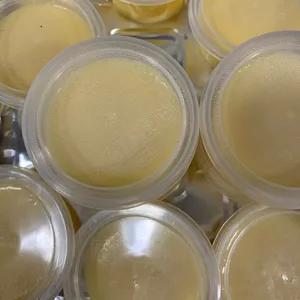 Mango Pudding