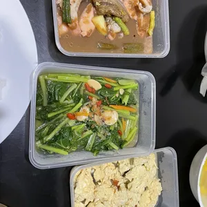 10 days Trial Package