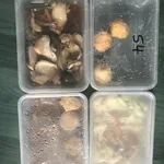 5 days Trial Package