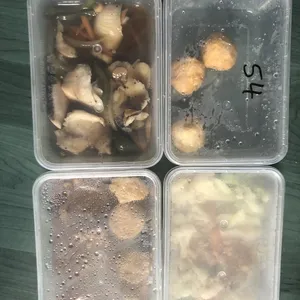 5 days Trial Package