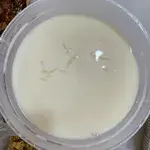 Chilled Almond Jelly with Longan