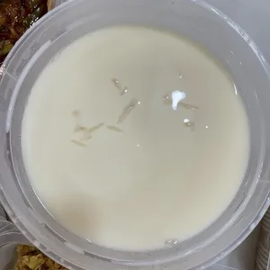 Chilled Almond Jelly with Longan