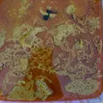 招牌咖喱鸡 Signature Curry Chicken