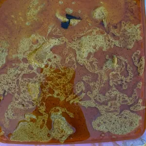 招牌咖喱鸡 Signature Curry Chicken