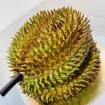 3D Durian Cake (Size: 7 Inch)
