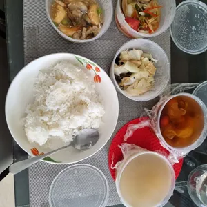 10 days Trial Lunch/Dinner Package