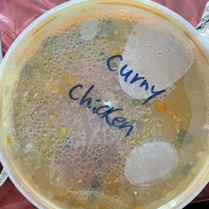 Signature Curry Chicken 天王咖喱鸡