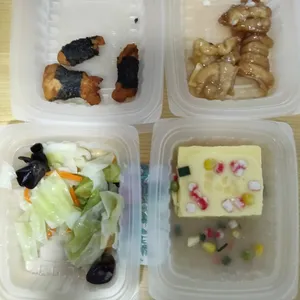 Lunch/Dinner Tingkat (5 Days, 3 Dishes + Soup OR 4 Dishes)