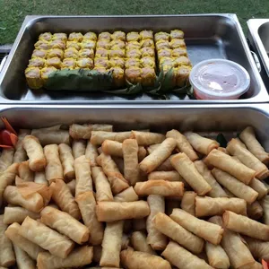 Spring Roll 春卷