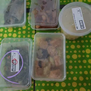 3 Days Tingkat Promotion (first time customer only!)