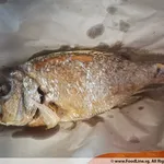 Fried Big Fish 大只炸鱼 (800-900g)