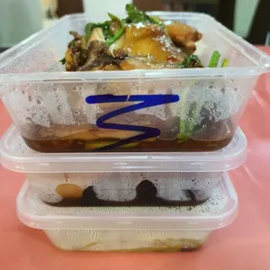 Lunch/Dinner Tingkat (5 Days)