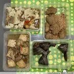 Special 5 days Trial Promotion!
