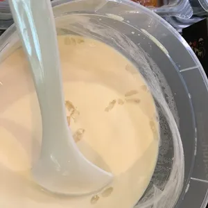 Homemade Almond Jelly with Longan