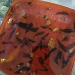 Signature Curry Chicken with Potato 招牌金薯咖喱鸡