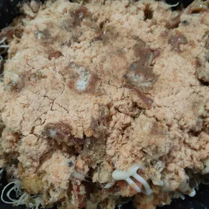 Deep Fried Soft Shell Crab with Chicken Floss 鸡肉松软壳蟹