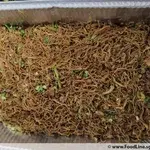香港炒面                    Fried Hong Kong Noodle
