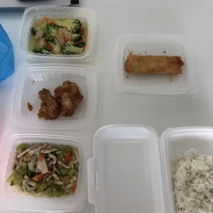 Lunch/Dinner Tingkat (5 Days, 3 Dishes + Soup OR 4 Dishes)