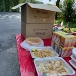 Spring roll in a disposable tray