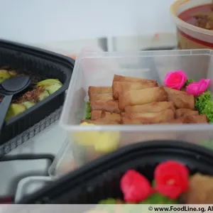 Oriental Fried Spring Roll 炸春卷
