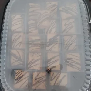 Mini Apple Strudel