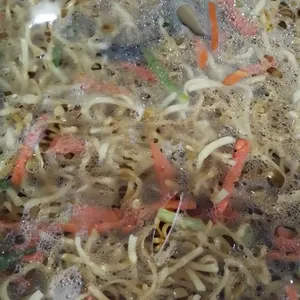 Ee Fu Noodle w/Mushroom 香菇焖伊面
