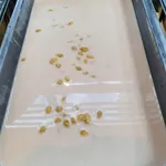Sweet yam with golden pumpkin 金瓜芋泥