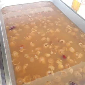 六味清汤 Hot Cheng Tng