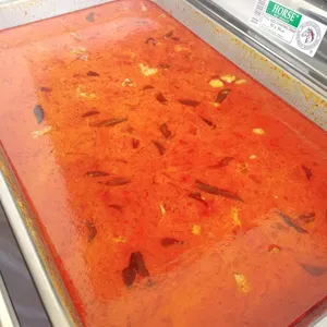 咖哩鸡肉 Curry Chicken