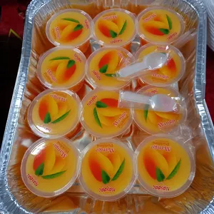 Mango Pudding 芒果布丁
