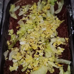 炒素米粉 Vegetarian Fried Bee Hoon
