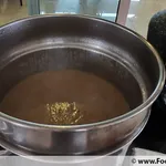 Cream of Mushroom