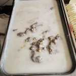 芋泥椰浆 Yam Paste w/ Coconut milk