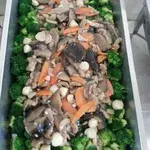 带子西兰花 Sauteed Broccoli w/ Scallop