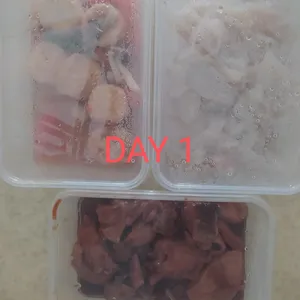 Balanced Tingkat Series - 5 Days TRIAL Promo (2 Dishes 1 Soup / 3 Dishes) *FIRST TIME* only
