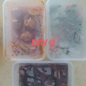 Balanced Tingkat Series - 5 Days TRIAL Promo (2 Dishes 1 Soup / 3 Dishes) *FIRST TIME* only