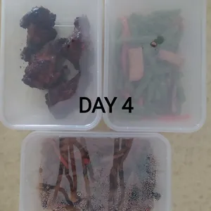 Balanced Tingkat Series - 5 Days TRIAL Promo (2 Dishes 1 Soup / 3 Dishes) *FIRST TIME* only
