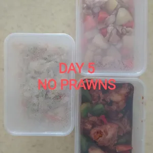 Balanced Tingkat Series - 5 Days TRIAL Promo (2 Dishes 1 Soup / 3 Dishes) *FIRST TIME* only