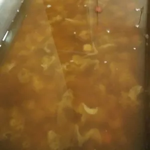 六味清汤 Hot Cheng Tng