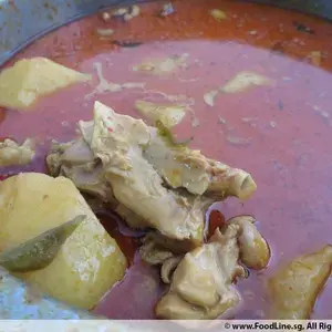 招牌咖喱鸡 Signature Curry Chicken