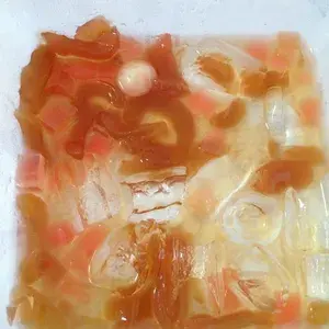 海底椰龙眼 Honey Sea Coconut w/ Longan