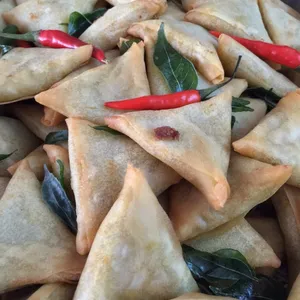 Curry Samosa or Spring Roll 咖喱角或春卷