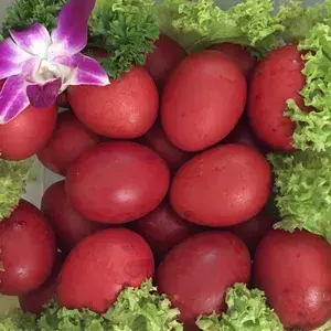 Red Eggs -弥月添丁红鸡蛋