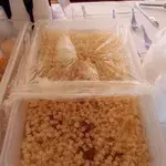 Almond Longan Beancurd with Sea Coconut
