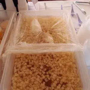 Almond Longan Beancurd with Sea Coconut