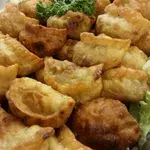 Pan Fried Japanese Gyoza