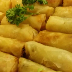 Vegetable Spring Roll