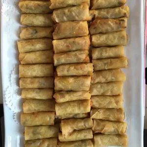 Vegetarian Spring Roll (V)