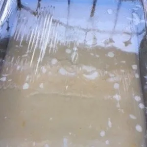 泰式木薯 Tapioca w/ Coconut Milk